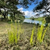 奥伊吹　夏と秋のせめぎ合い