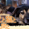 犬と猫と人間と