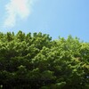 そういえば