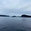 串本カセ釣り 2021年2月6日（土）