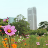 2020/09/20 浜離宮恩賜庭園