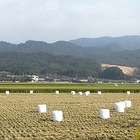 画家の佐藤勝彦さんがお亡くなりになられていたとは‥‥。 全く、知り