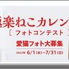 極楽ねこカレンダーフォトコンテスト2023