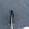 まろにー187日目