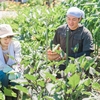 婚活成功の秘訣：幸せな結婚への歩み方