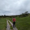 【日帰り】尾瀬のアヤメ平ハイキングコースで行ってきました