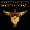 Greatest Hits / Bon Jovi (2010 44.1/16)