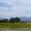 【竹生島一の鳥居】江戸時代、東岸からの竹生島へ渡る玄関口【早崎／尾上】