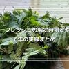 エバーフレッシュの剪定時期とやり方｜6年の実録まとめ