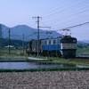 飯田線 ED62の短い貨物列車 83-15