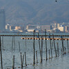 湖南志那湖岸冬の風景