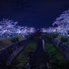 2026-03-30 山崎川