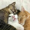 自分の姿が分かる.. σ(^◇^;)