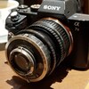 【DDRオールドレンズ】Trioplan 7.5cmF2.9でバブルボケを楽しむ【α7II】