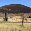 さくらの里、城ケ崎海岸