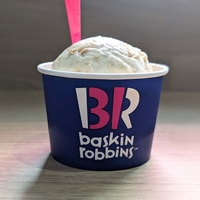 【サーティワン】クラッカーを使用してニューヨークチーズケーキを表現、2024年5月9日発売のニューヨークチーズケーキを実食レポ