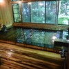 七沢温泉【元湯玉川館】日帰りブログ♨木漏れ日がまぶしいヒノキ風呂