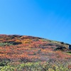 東北の旅②  月山登山