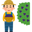 ブログアイコン＝［いらすとや］ブルーベリー農家の人らしい。