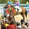 140209小倉競馬場＜壇ノ浦特別＞