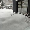 久しぶりの大雪