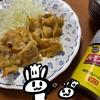 味付カレーパウダー