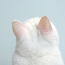 ドブ女オタク日記
