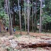春休みの親子登山レポ｜小学生男子あるある満載！天覧山・多峯主山へ