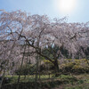 2018 桜紀行 〜長崎 佐賀〜