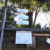 １カ月間毎日、多摩動物公園に行ってみた。1７日目