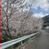 桜も満開の時を迎えたのであぐりさんにもおすそ分け．．．