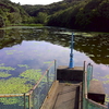  西池（静岡県相良）