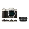 【送料無料】CANON EOS RP(ゴールド) マウントアダプターSPキット ゴールド [ミラーレス一眼カメラ(2620万画素)] 186,050円送料無料