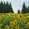 あけぼの山農業公園へ