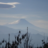 　富士の山