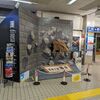ここは何県だっけ？【小松空港】日本列島のほぼ中心！