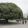 根岸、本牧山頂、三渓園――横浜・中区の公園、庭園を歩く