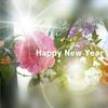 新年早々フキハラ
