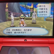 記事一覧 トキワのミドリ しゃわのポケモン記
