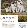 七夕の夜の町へ