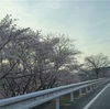 里親さん募集しています。
