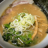 細麺屋 くわとろ　醬油豚骨ラーメン