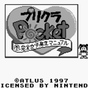 プリクラポケット 不完全女子高生マニュアル チラ裏げーむ録