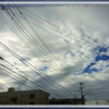 2013/07/15　贈る作業