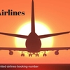 Looking For the Discounted Flight Fare Ticket? Book Online Ticket In United Airlines