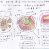 フランスの食文化3（古典的なフランス料理）