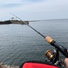 海釣り初挑戦 in 富津港