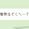こんな暑い日に庭仕事するもんじゃない