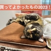 愛猫の快適な生活をサポートする2023年のベストアイテム！