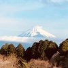 今朝の景色